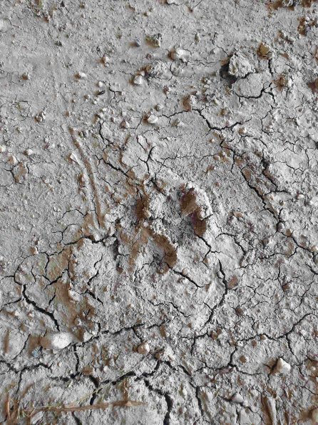 PA_AT_KOB_abovefootprintphoto_20220612165842283