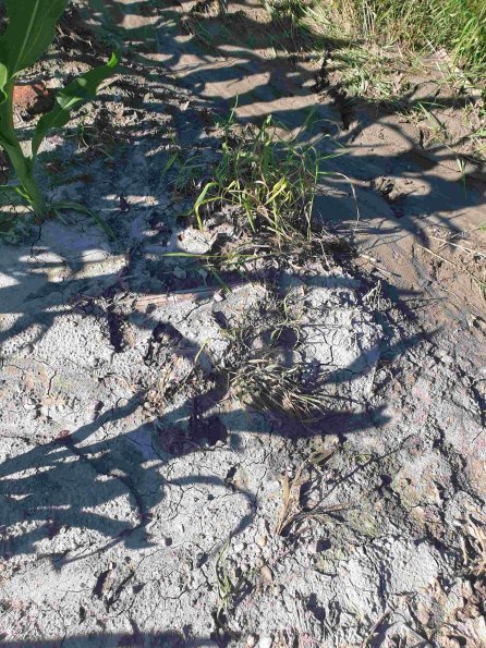 PA_AT_KOB_abovefootprintphoto_20220612171340681