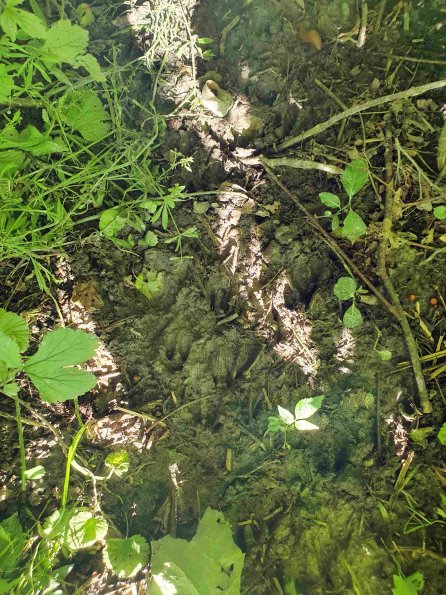 PA_AT_KOB_abovefootprintphoto_20220612171514621