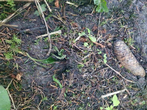 PA_AT_KOB_abovefootprintphoto_20220612171811608