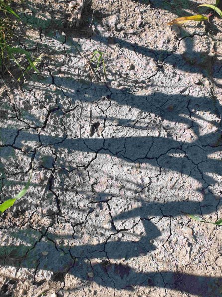 PA_AT_KOB_abovefootprintphoto_20220612172329983