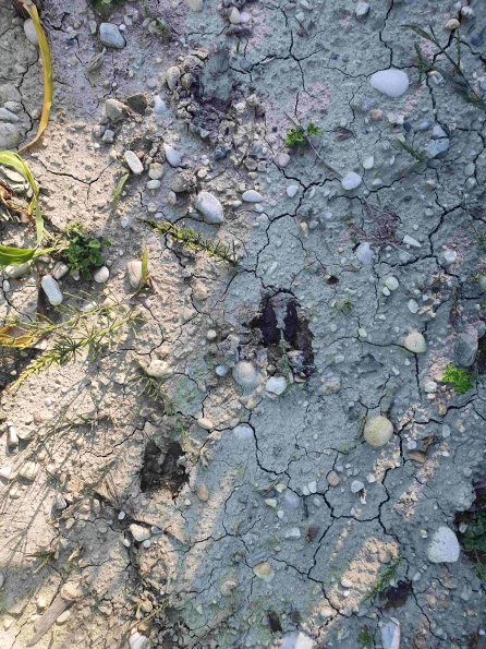 PA_AT_KOB_abovefootprintphoto_20220612172507711