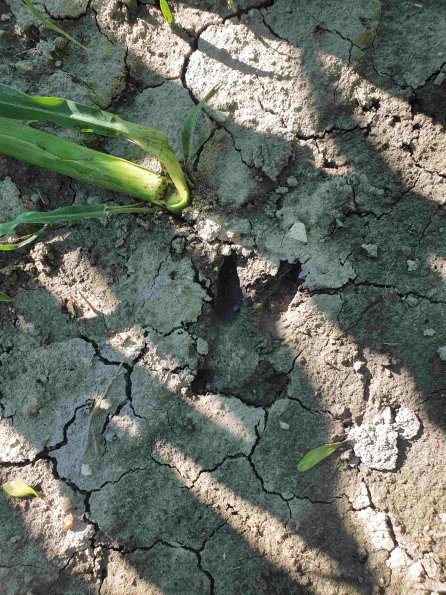 PA_AT_KOB_abovefootprintphoto_20220612174807973