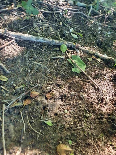 PA_AT_KOB_abovefootprintphoto_20220612175307200