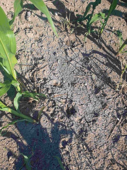 PA_AT_KOB_abovefootprintphoto_20220612181026223