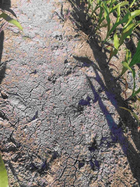 PA_AT_KOB_abovefootprintphoto_20220612181242891