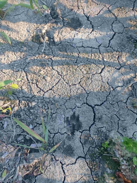 PA_AT_KOB_abovefootprintphoto_20220612181444242