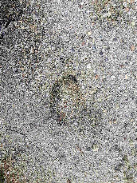 PA_AT_KOB_abovefootprintphoto_20220612184013245