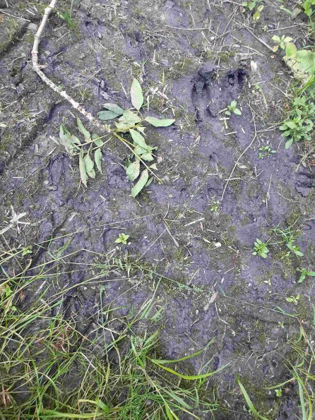 PA_AT_KOB_abovefootprintphoto_20220612185814101