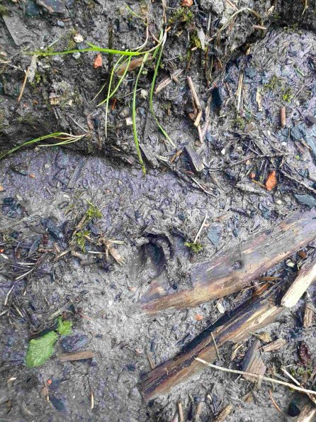 PA_AT_KOB_abovefootprintphoto_20220612185938936