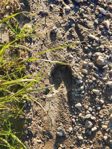 PA_AT_KOB_abovefootprintphoto_20220612195409613