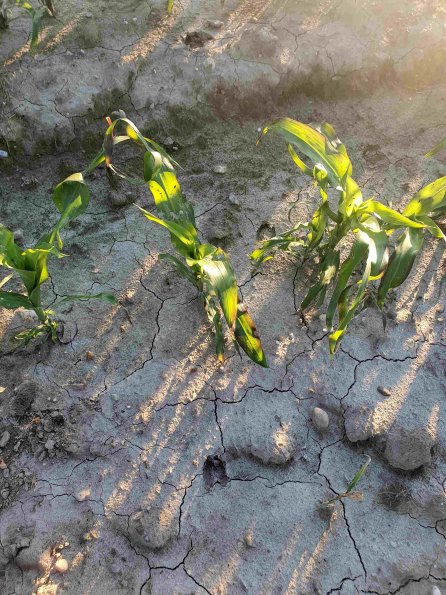 PA_AT_KOB_abovefootprintphoto_20220612200124181