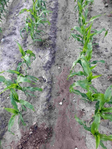 PA_AT_KOB_abovefootprintphoto_20220612200331759