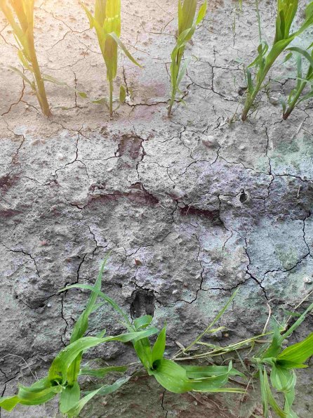 PA_AT_KOB_abovefootprintphoto_20220612203023634