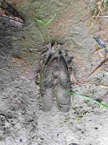 PA_AT_KOB_abovefootprintphoto_20220613104644973