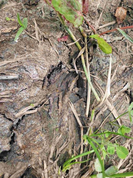 PA_AT_KOB_abovefootprintphoto_20220613110847802