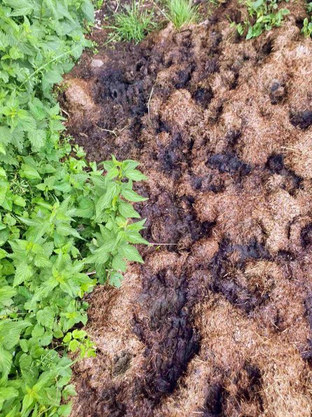 PA_AT_KOB_abovefootprintphoto_20220613111343182