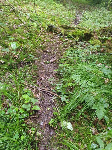 PA_AT_KOB_abovefootprintphoto_20220613111620177