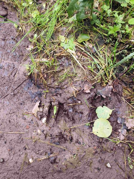 PA_AT_KOB_abovefootprintphoto_20220613113902134