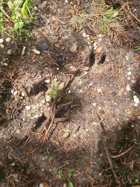 PA_AT_KOB_abovefootprintphoto_20220613114425561