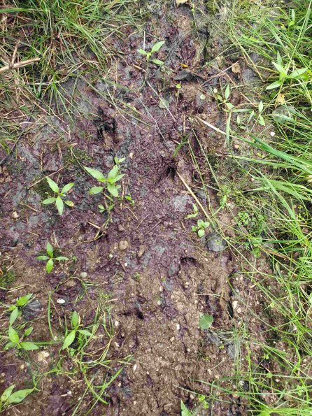 PA_AT_KOB_abovefootprintphoto_20220613115110743