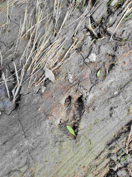 PA_AT_KOB_abovefootprintphoto_20220613123118982