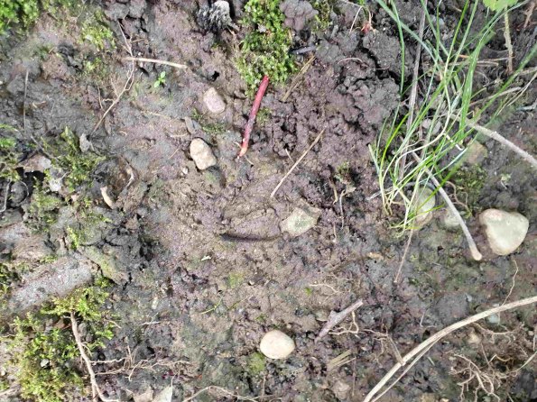 PA_AT_KOB_abovefootprintphoto_20220613123510207