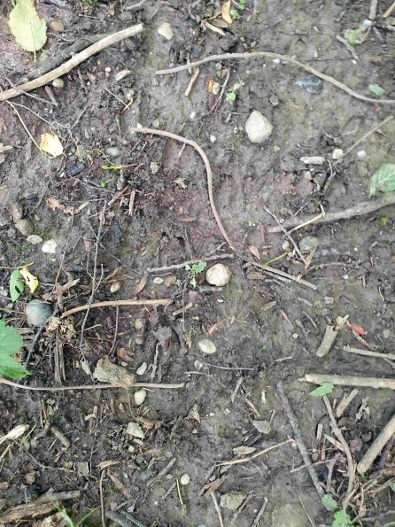 PA_AT_KOB_abovefootprintphoto_20220613124653239