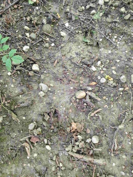 PA_AT_KOB_abovefootprintphoto_20220613125105550