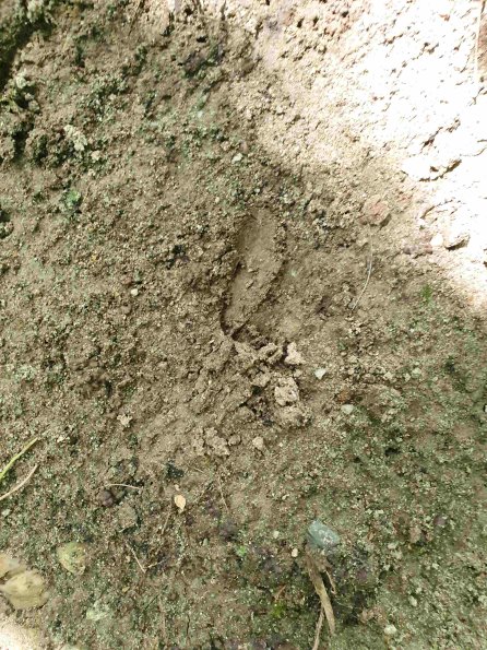 PA_AT_KOB_abovefootprintphoto_20220613125334728