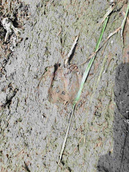 PA_AT_KOB_abovefootprintphoto_20220613125842883