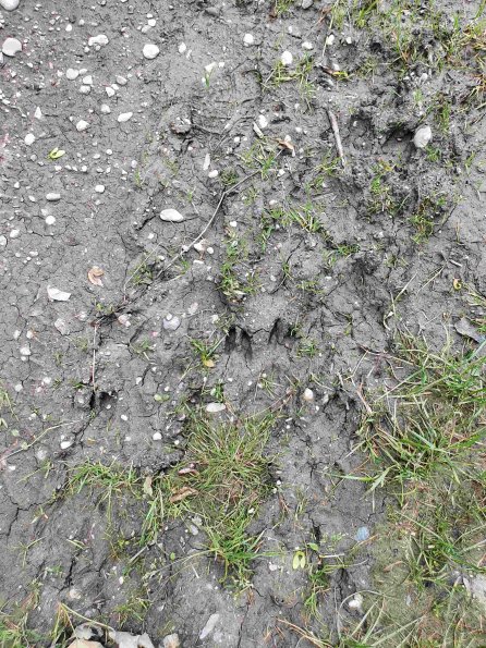 PA_AT_KOB_abovefootprintphoto_20220613131645891