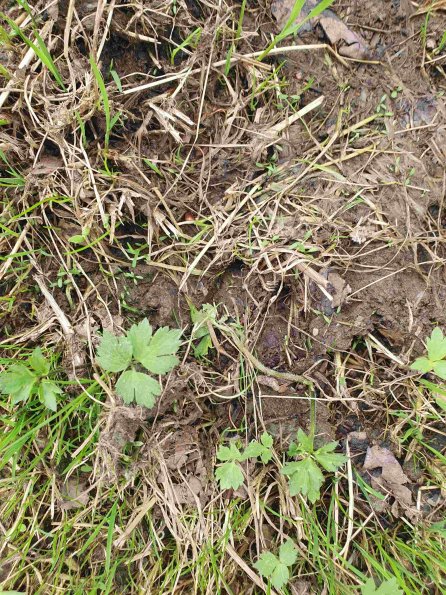 PA_AT_KOB_abovefootprintphoto_20220613132114381