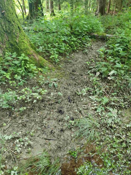 PA_AT_KOB_abovefootprintphoto_20220613133312330