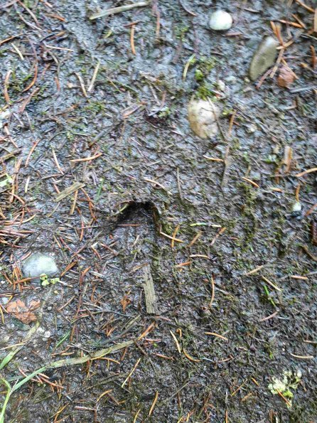 PA_AT_KOB_abovefootprintphoto_20220613135201120