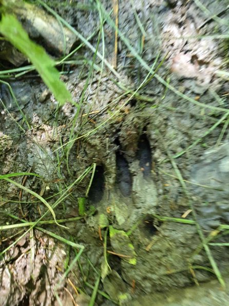 PA_AT_KOB_abovefootprintphoto_20220613135436534