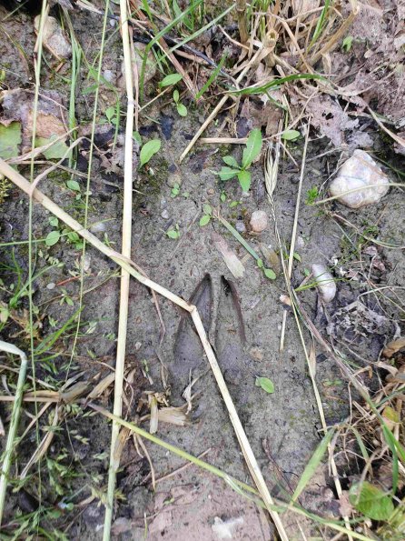 PA_AT_KOB_abovefootprintphoto_20220613140107325