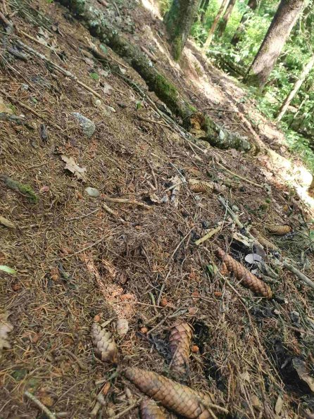 PA_AT_KOB_abovefootprintphoto_20220613145152139