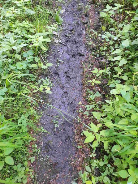 PA_AT_KOB_abovefootprintphoto_20220613145736510