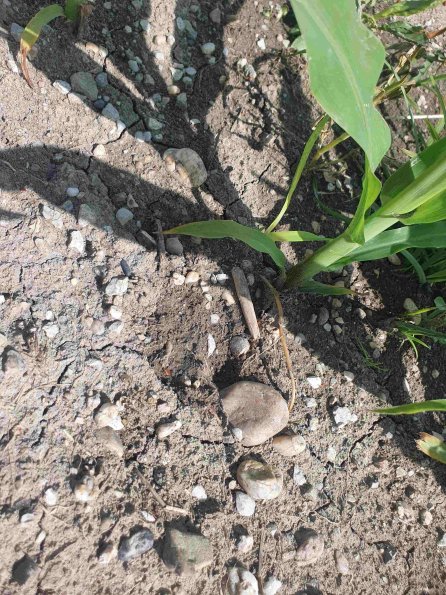 PA_AT_KOB_abovefootprintphoto_20220613152926189