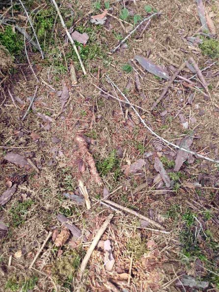 PA_AT_KOB_abovefootprintphoto_20220613154226148