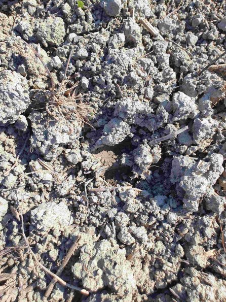 PA_AT_KOB_abovefootprintphoto_20220906155918228