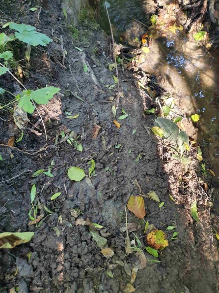 PA_AT_KOB_abovefootprintphoto_20220906160712852