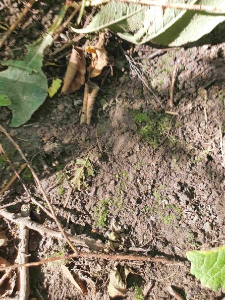 PA_AT_KOB_abovefootprintphoto_20220906161217534