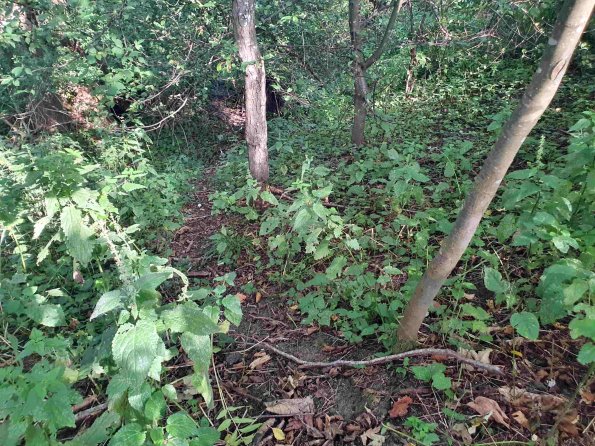 PA_AT_KOB_abovefootprintphoto_20220906165509479