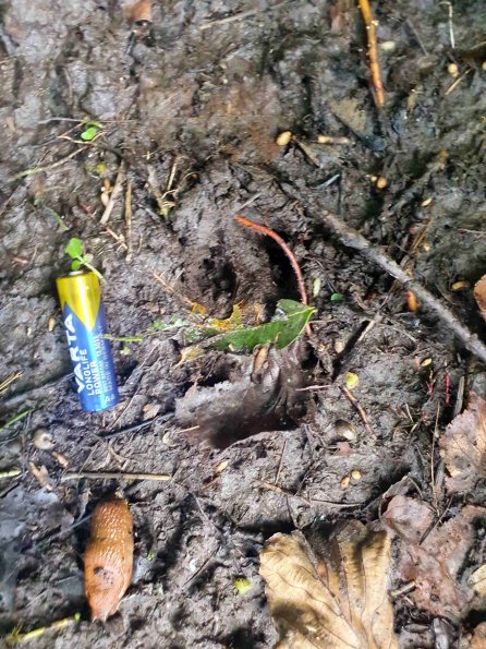 PA_AT_KOB_abovefootprintphoto_20220906165657395