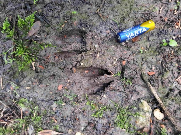 PA_AT_KOB_abovefootprintphoto_20220906170213517