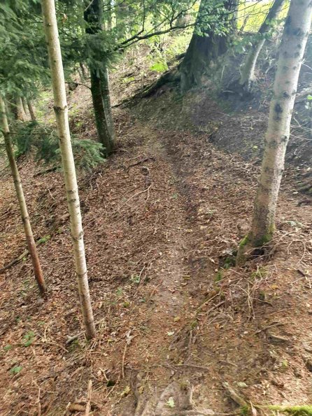 PA_AT_KOB_abovefootprintphoto_20220907100300916