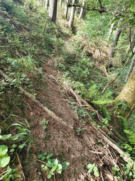 PA_AT_KOB_abovefootprintphoto_20220907101258984