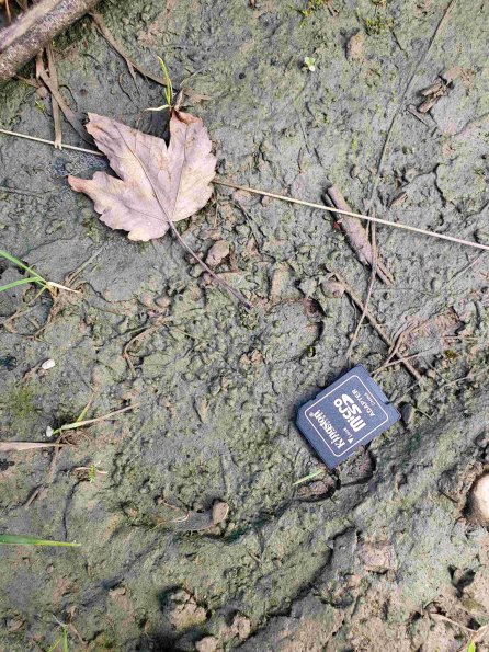 PA_AT_KOB_abovefootprintphoto_20220907112623248